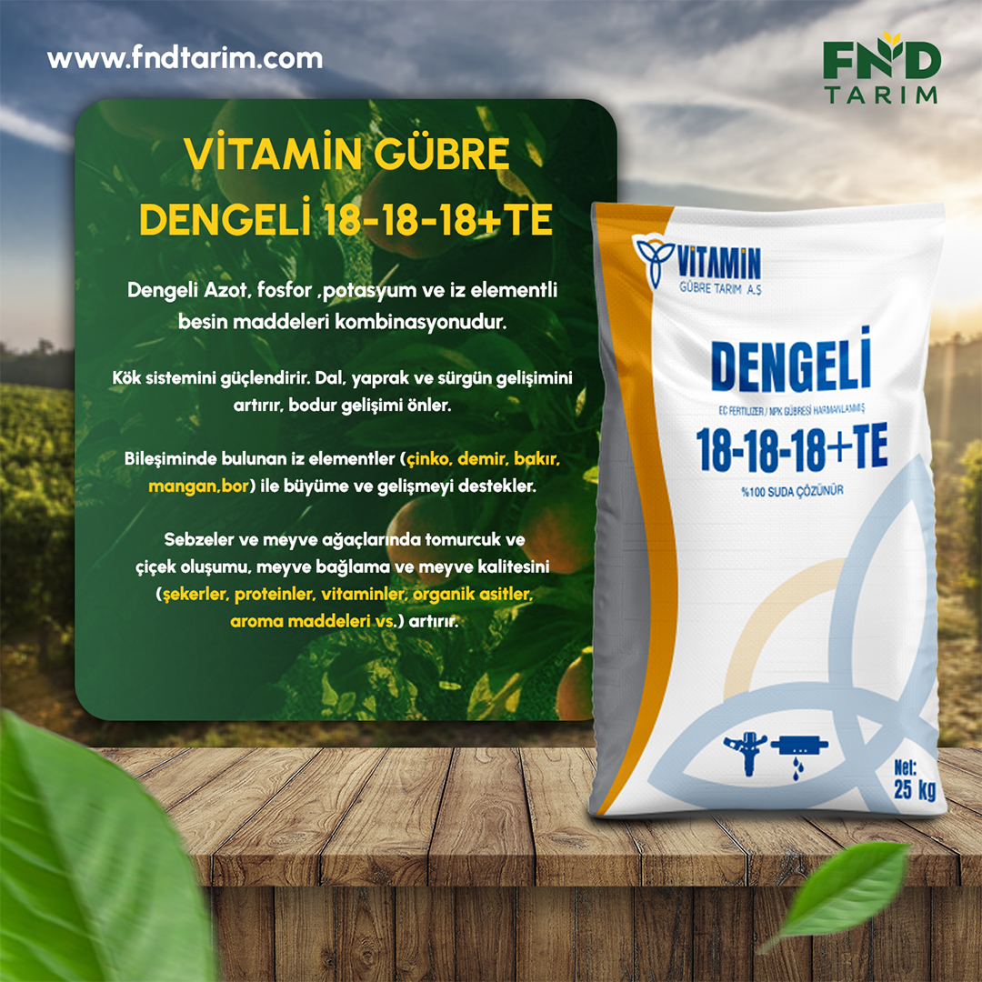 fnddengeli